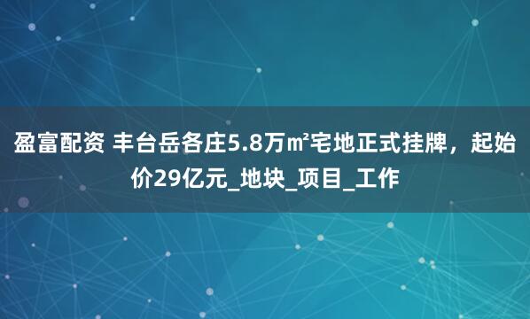 盈富配资 丰台岳各庄5.8万㎡宅地正式挂牌，起始价29亿元_地块_项目_工作